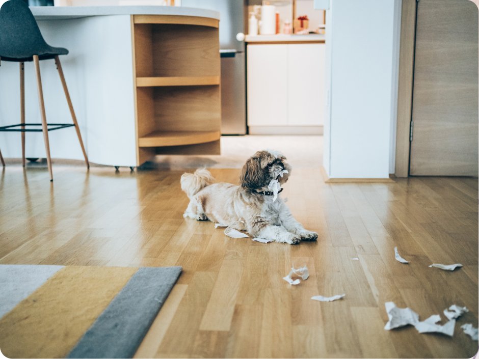 A cozy living room with pet-friendly flooring that is durable and easy to clean. 